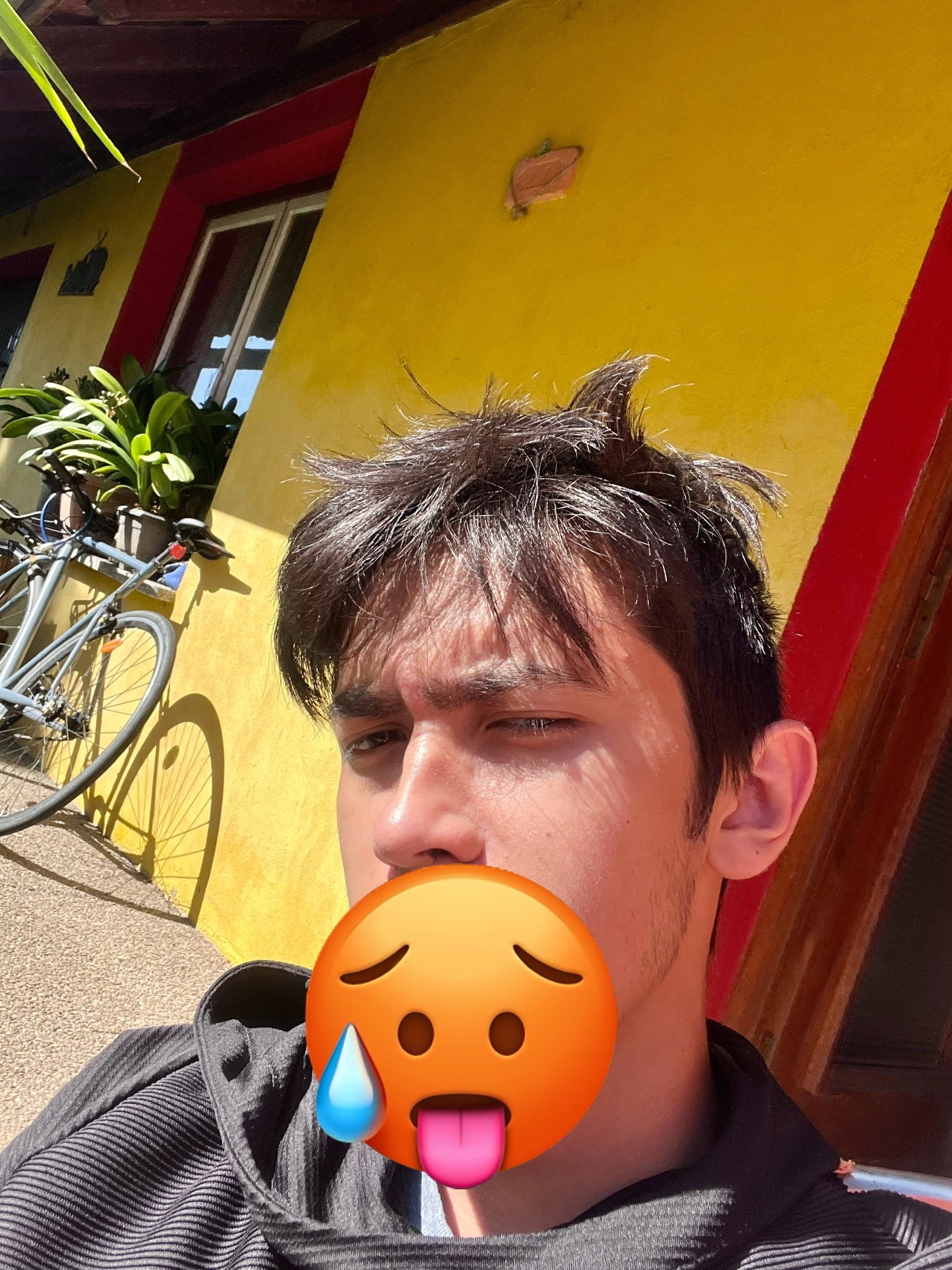 Tanneguy - Luché-Pringé - Sarthe | Rencontre gay